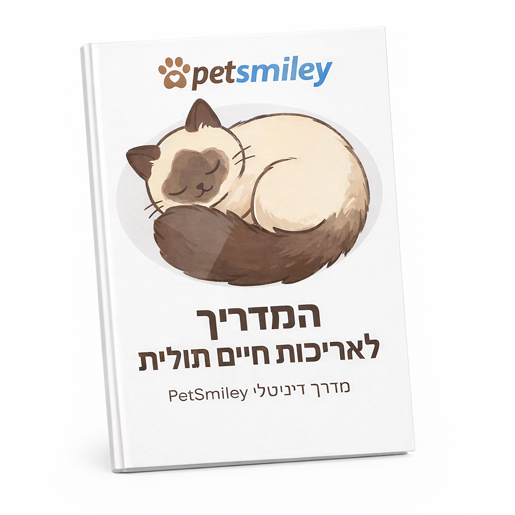 המדריך המלא לאריכות ימים של חתולים