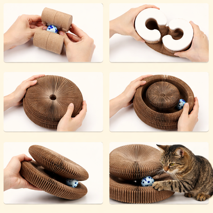 Kitty Loop צעצוע גירוי לחתולים