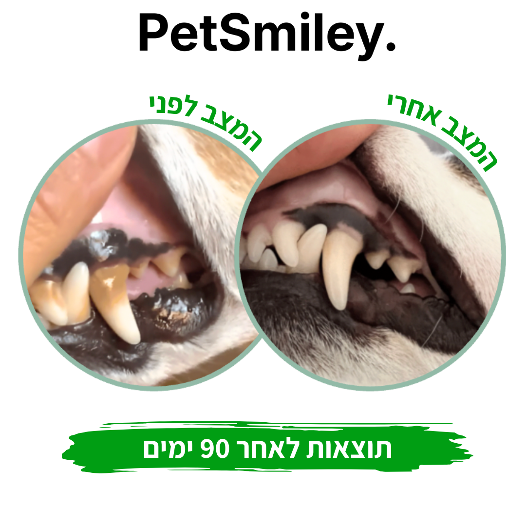 ספריי לניקוי ושיקום שיניים לכלבים וחתולים - PetSmiley™