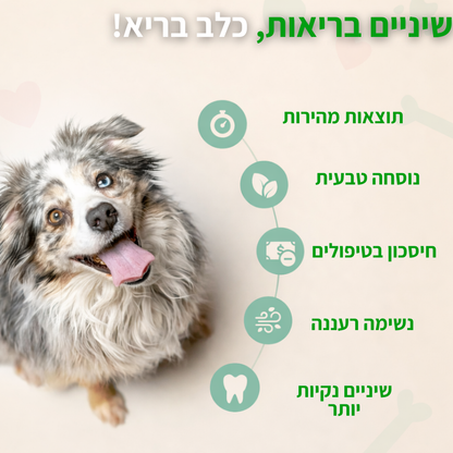ספריי לניקוי ושיקום שיניים לכלבים וחתולים - PetSmiley™
