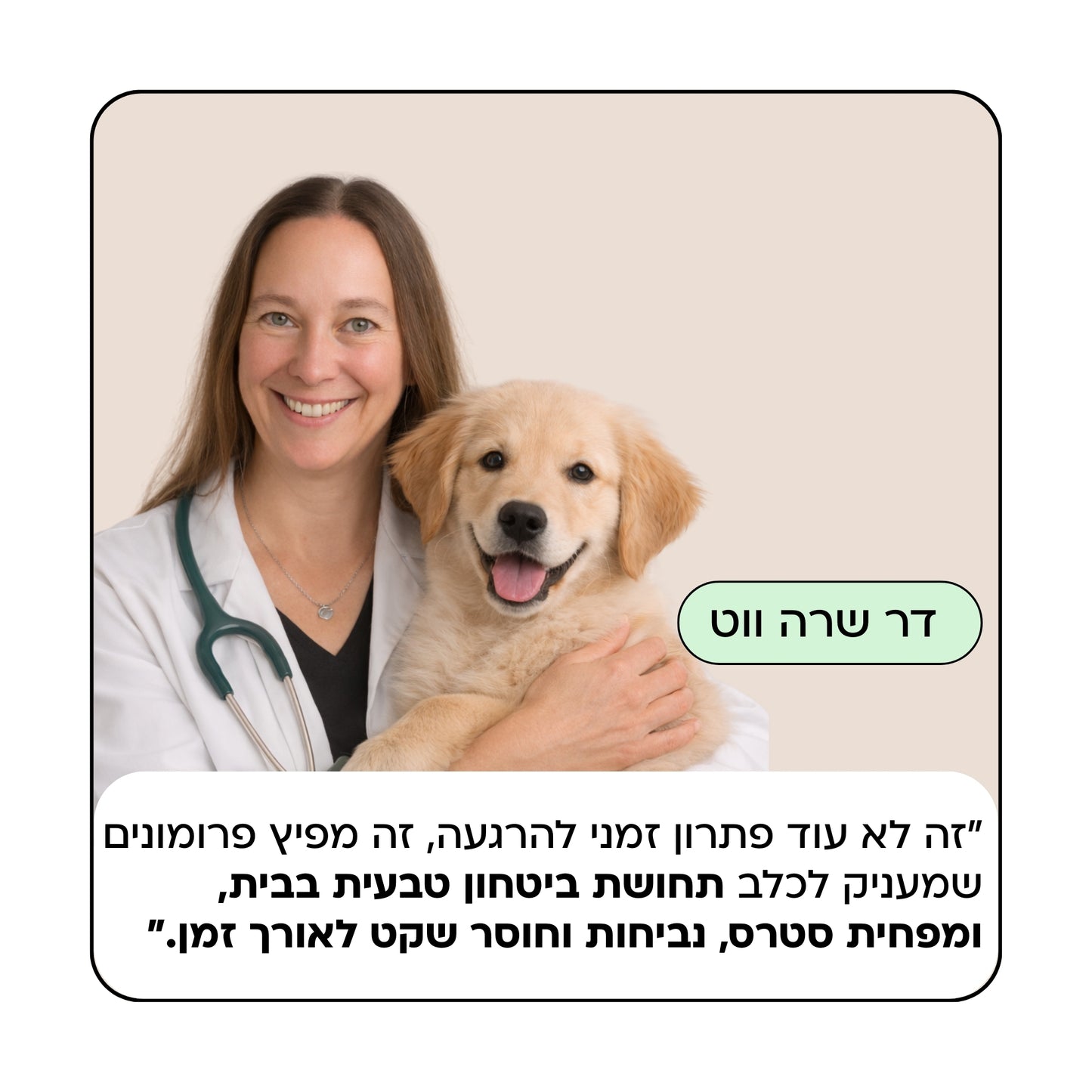ערכת דיפיוזר הרגעה לכלבים