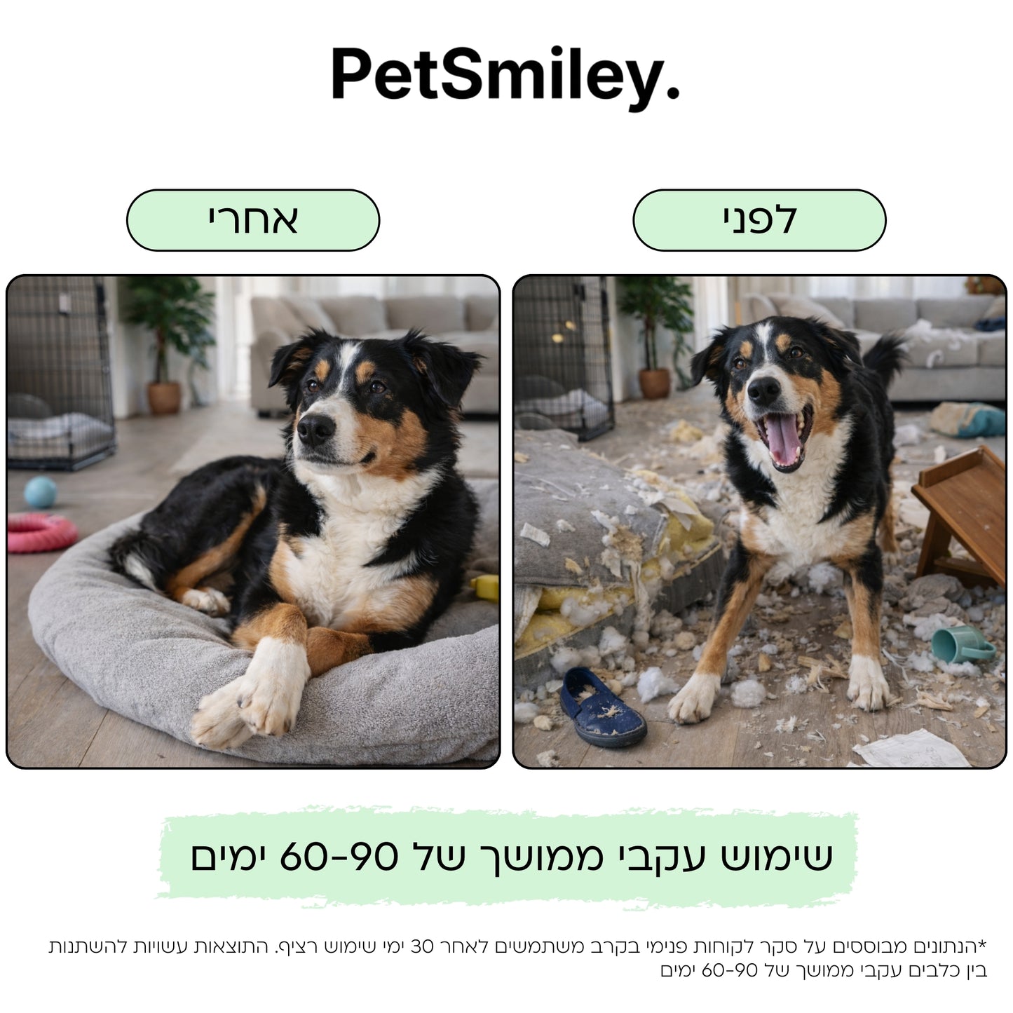 ערכת דיפיוזר הרגעה לכלבים
